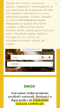 Mobile Screenshot of curcumaindia.it